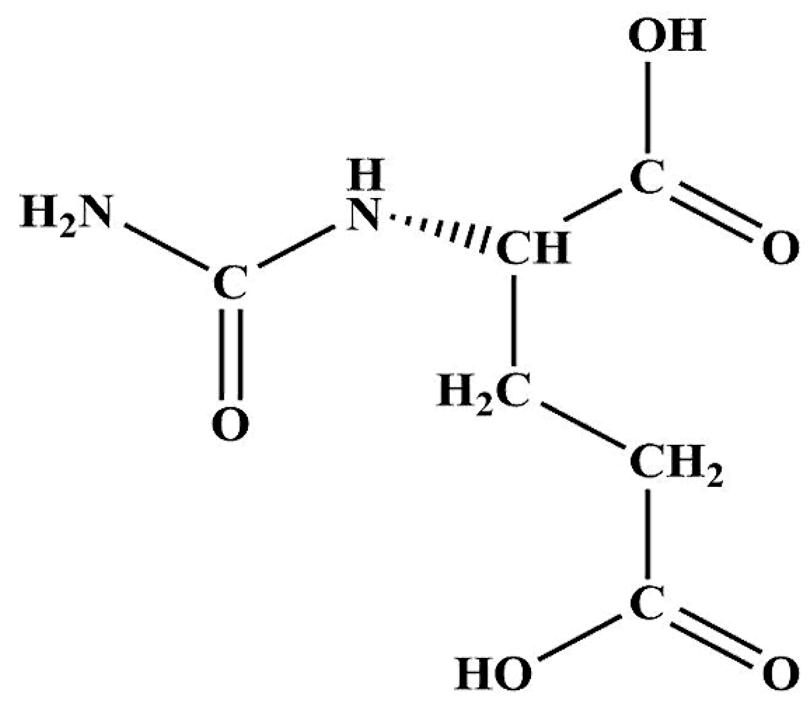 NCG (N-carbamylglutamate) – hoạt chất chống lão hóa đa nhiệm: chống oxy hoá, giảm viêm, làm sáng