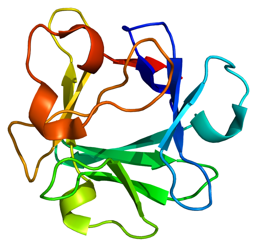 Yếu tố Tăng trưởng Nguyên bào Sợi 2