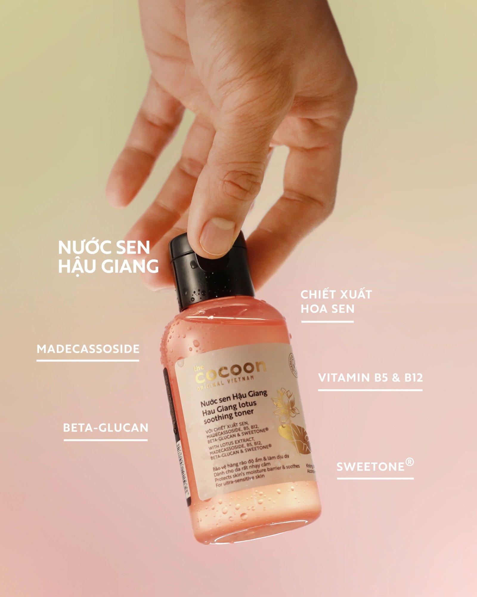 Cocoon Nước sen Hậu Giang