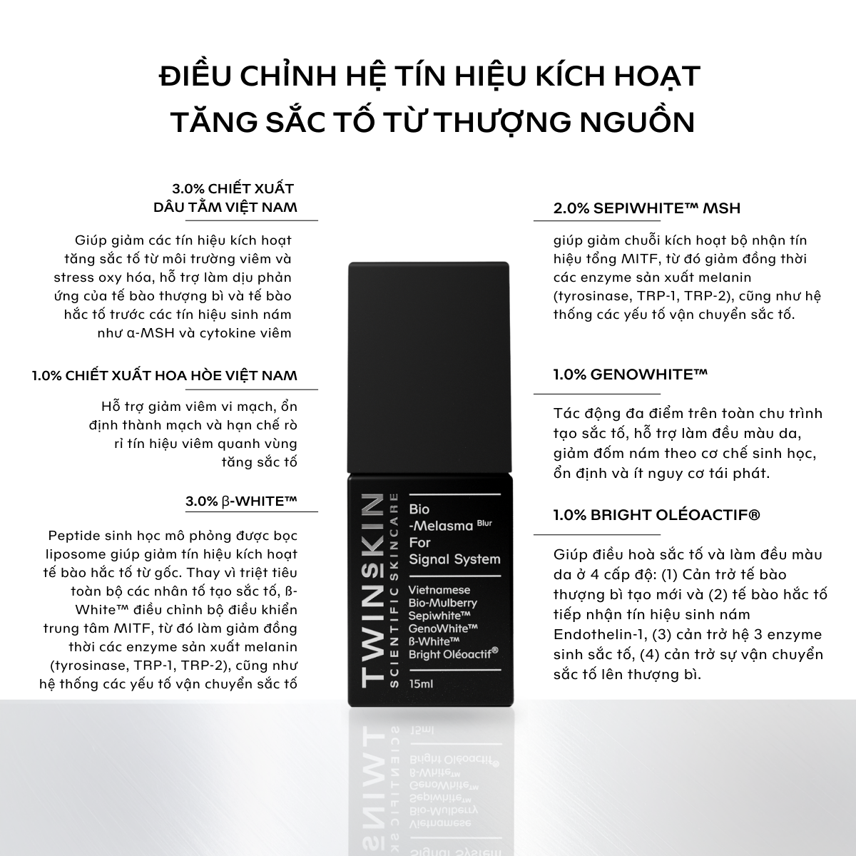 Twins Skin - BIO-BLUR MELASMA FOR SIGNAL SYSTEM